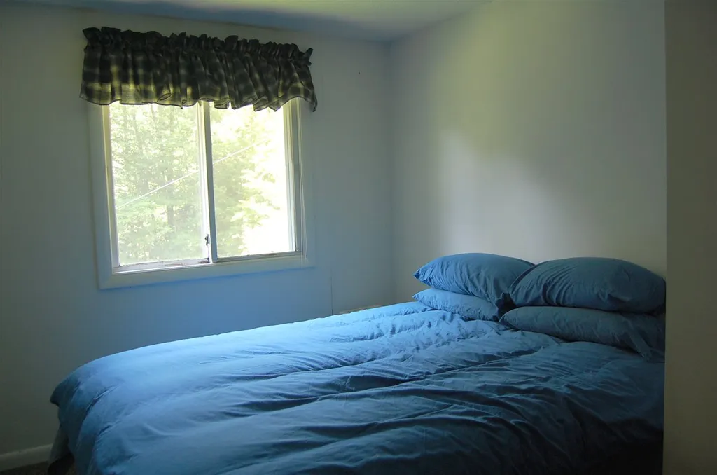 203 Madbush Waitsfield VT 05673