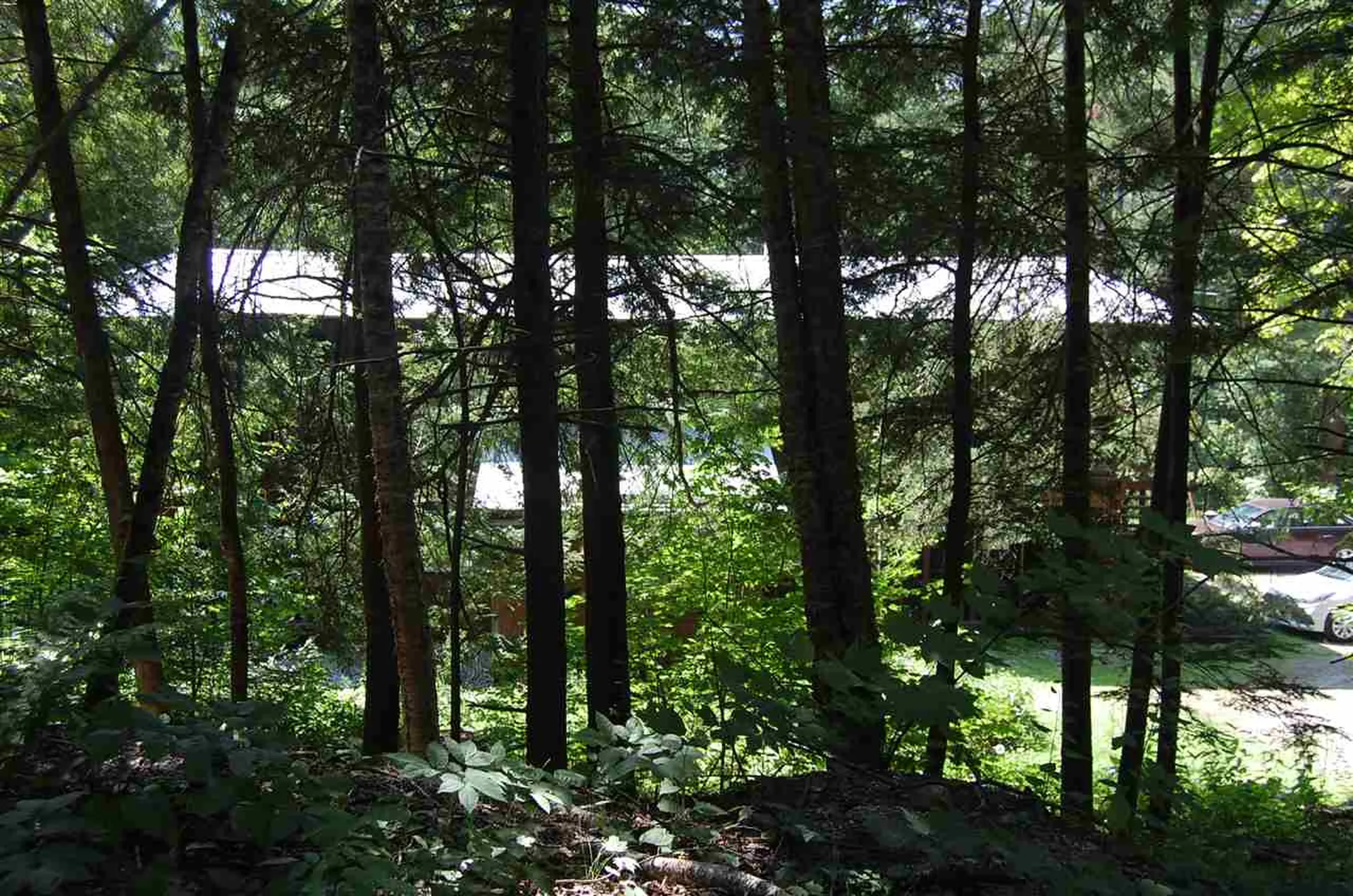 203 Madbush Waitsfield VT 05673