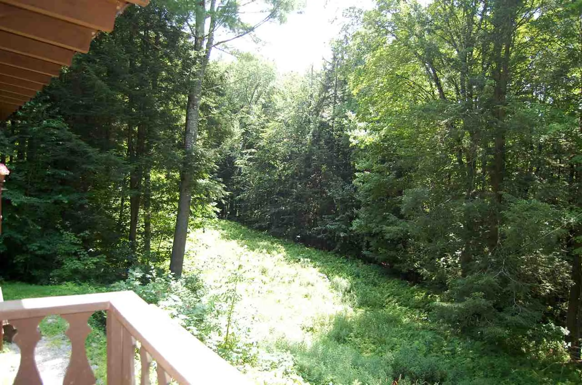 203 Madbush Waitsfield VT 05673