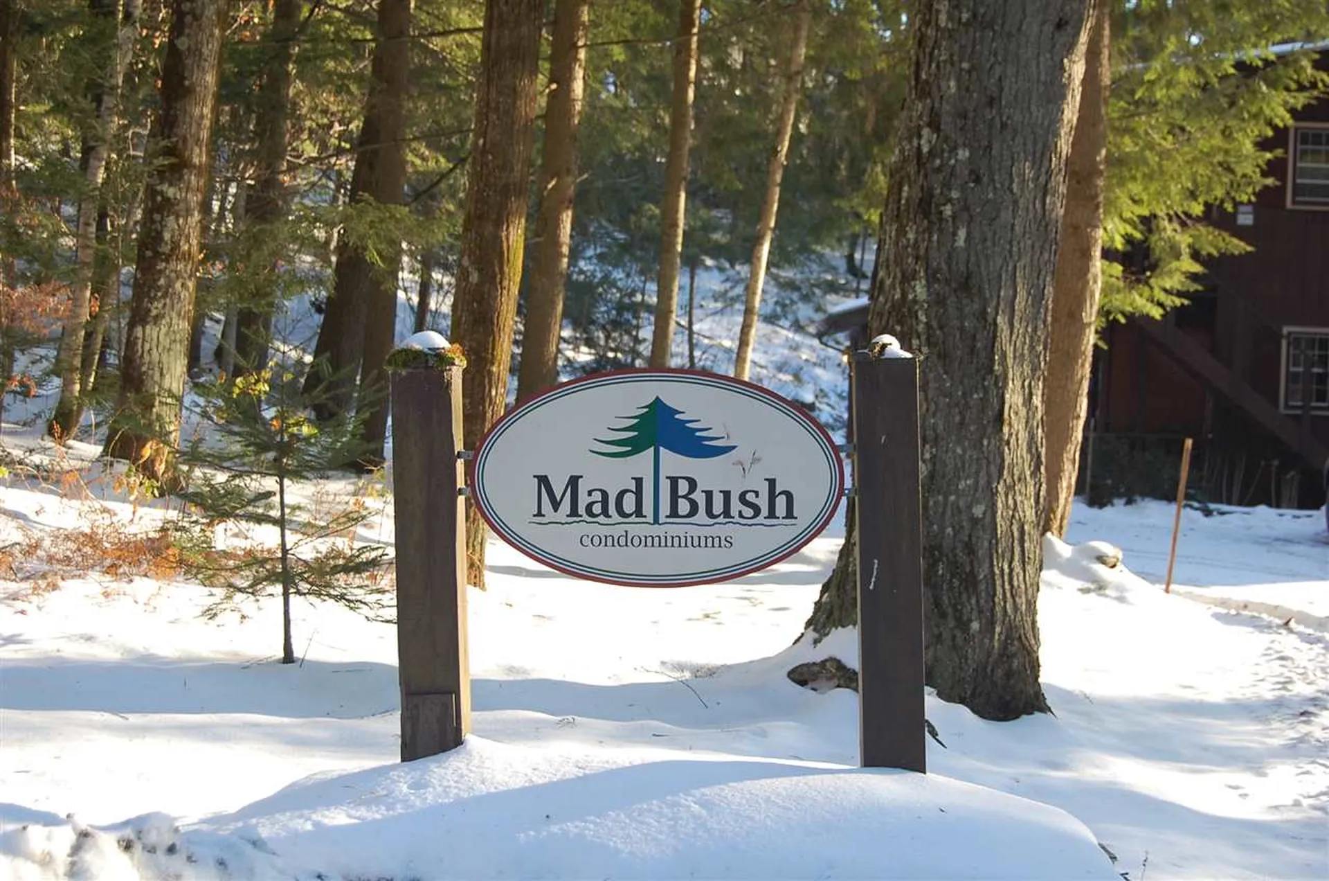 203 Madbush Waitsfield VT 05673