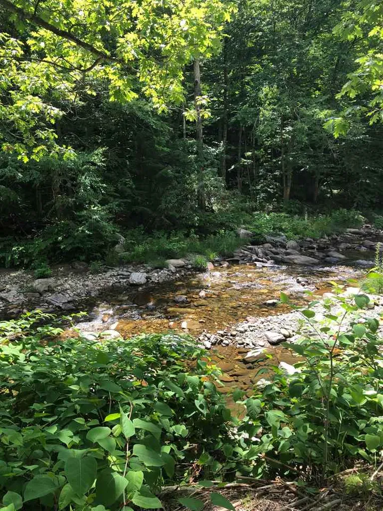 999 Route 121 East Grafton VT 05146