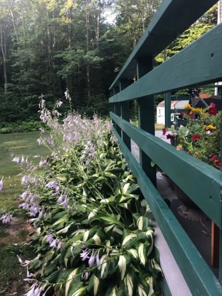 23 Peabody Drive Brentwood NH 03833