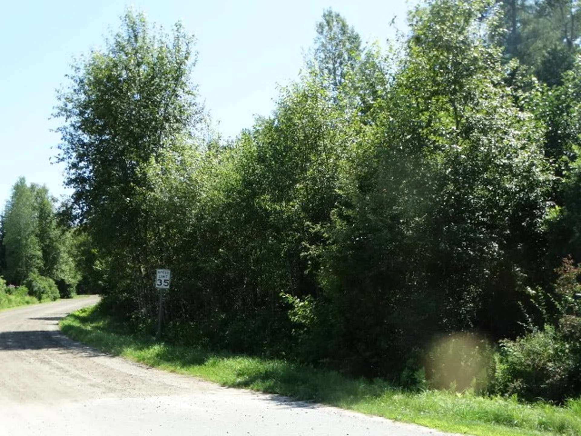 0 Williams Road Morgan VT 05853