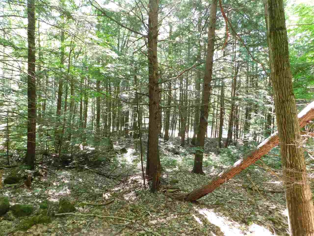 Nh Route 25a Wentworth NH 03282