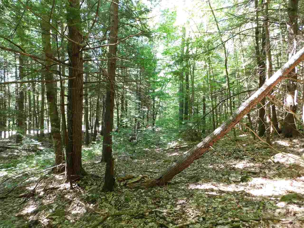 Nh Route 25a Wentworth NH 03282