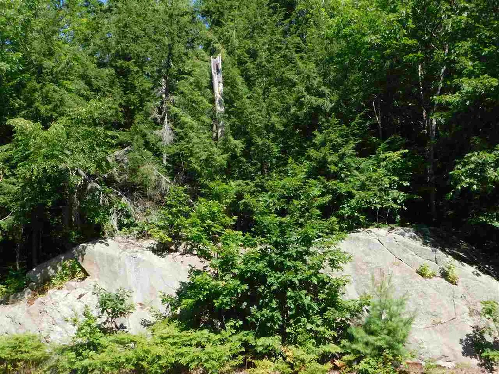 Nh Route 25a Wentworth NH 03282