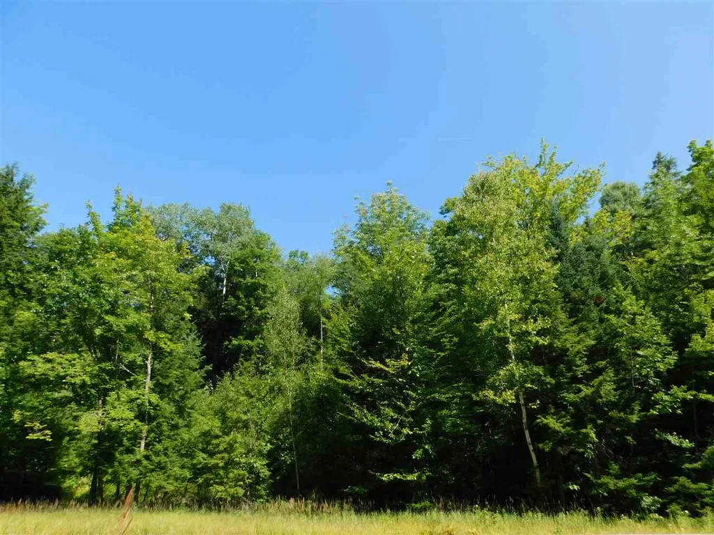 Nh Route 25a Wentworth NH 03282