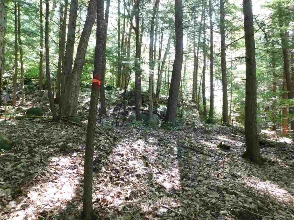 Nh Route 25a Wentworth NH 03282