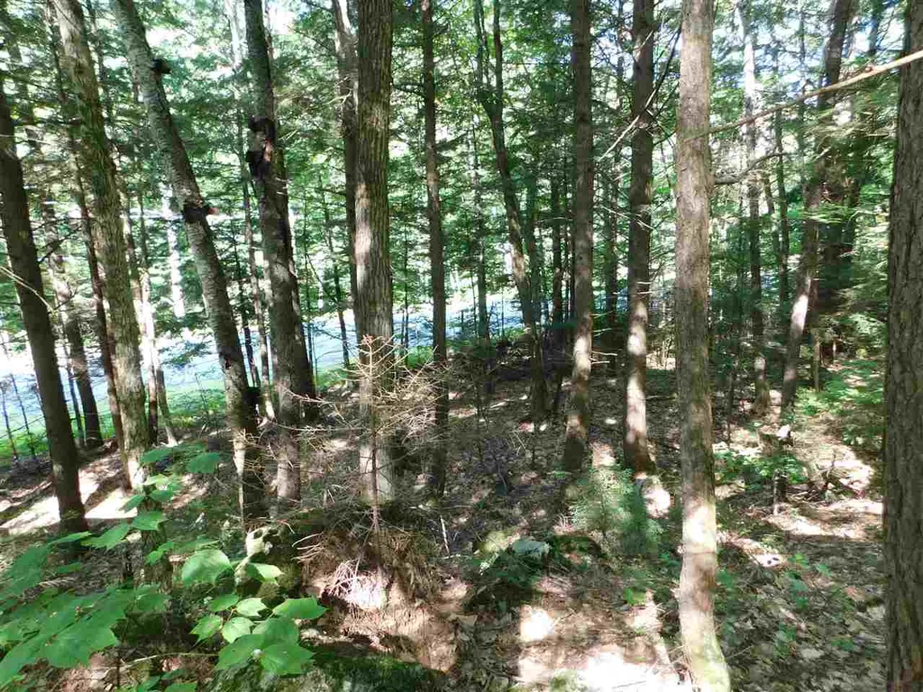 Nh Route 25a Wentworth NH 03282