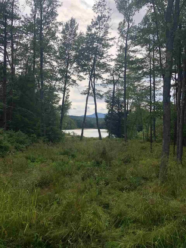 220 Pequawket Drive Conway NH 03818