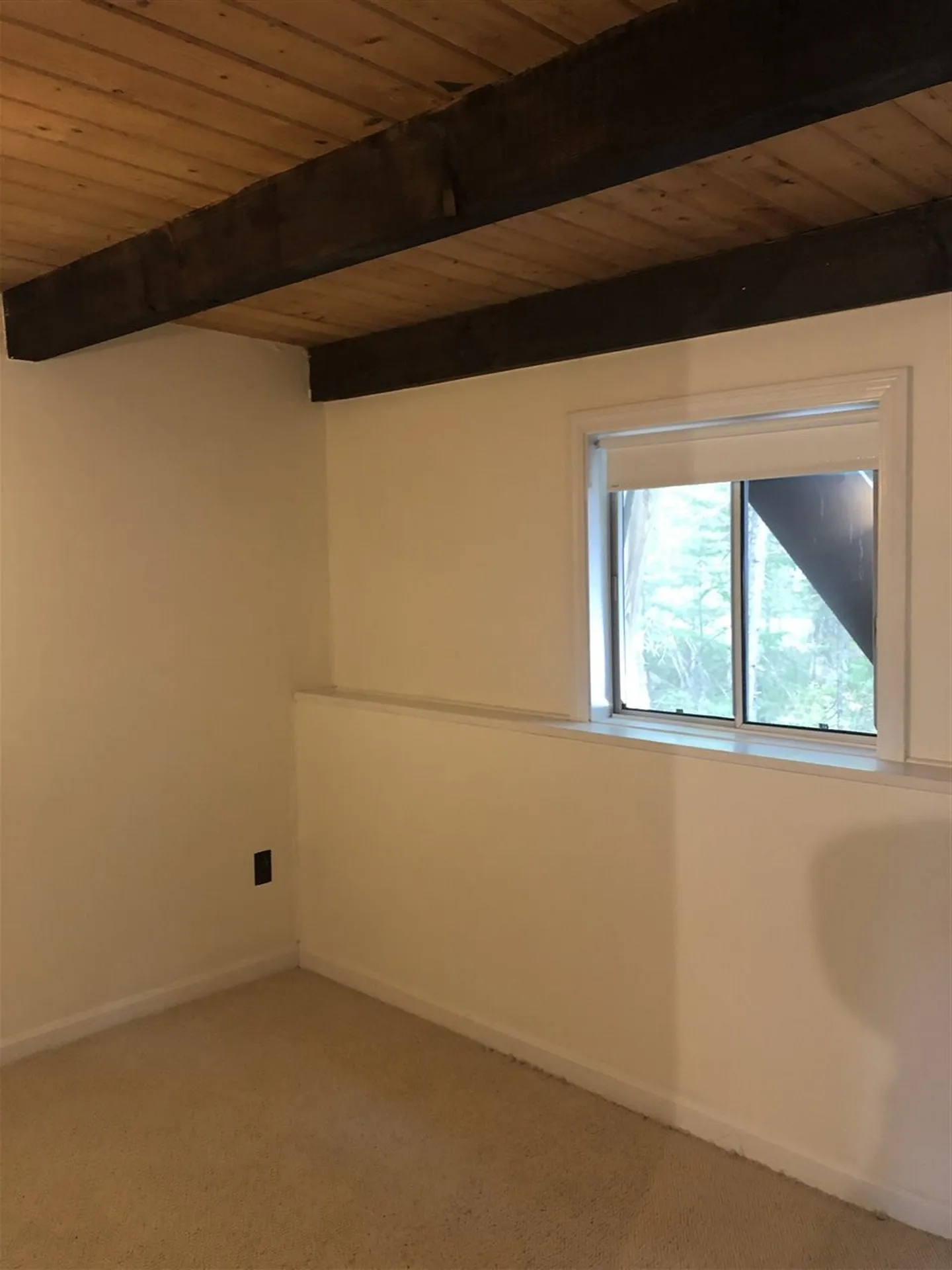 220 Pequawket Drive Conway NH 03818
