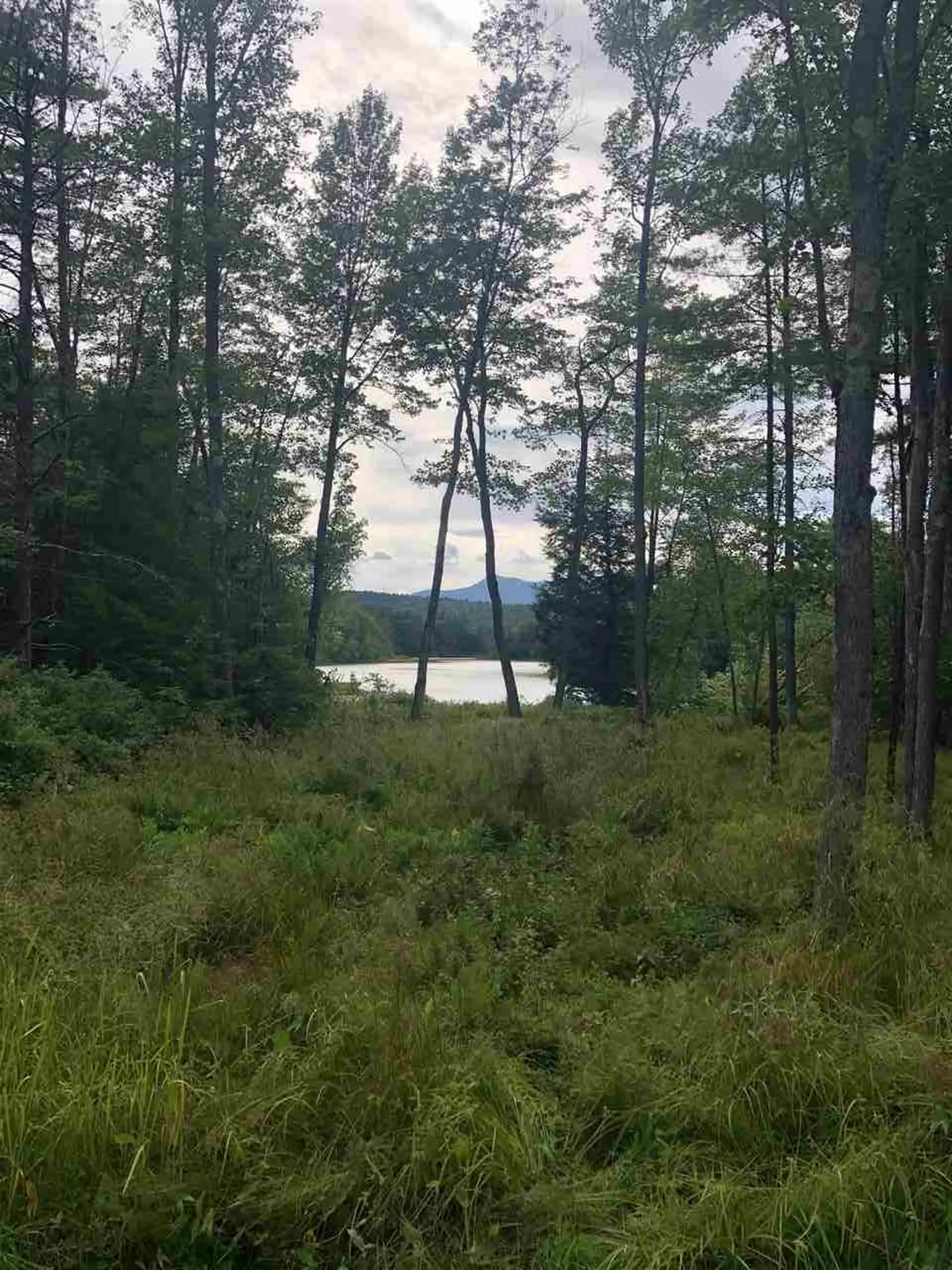 220 Pequawket Drive Conway NH 03818