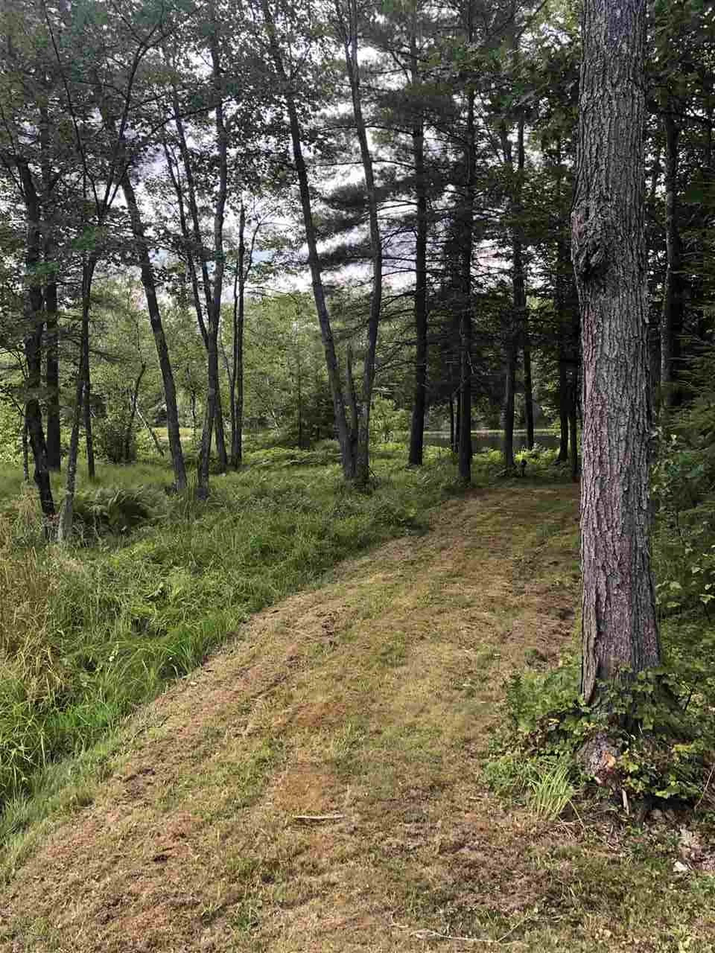 220 Pequawket Drive Conway NH 03818