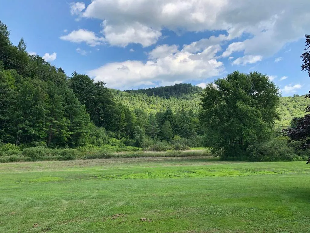 60 Beaver Brook Farm Road Bolton VT 05676