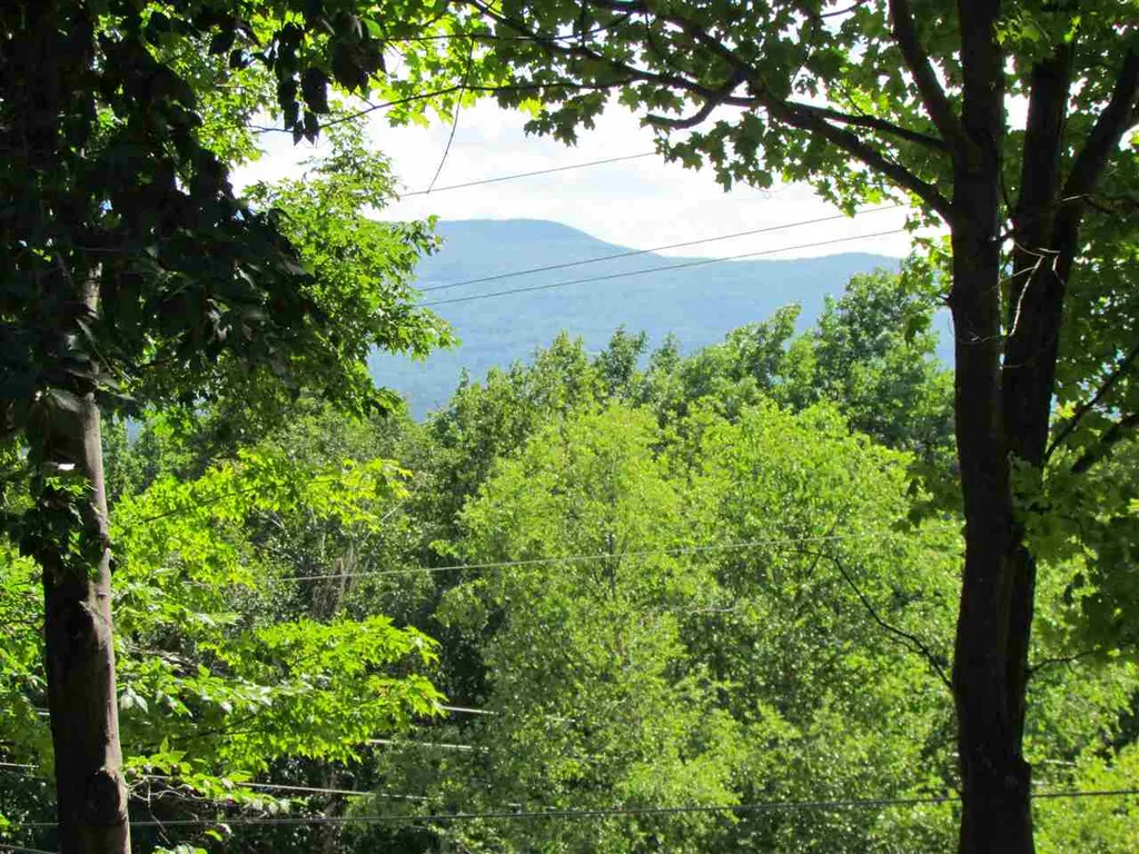 Lower Summit Road Warren VT 05674