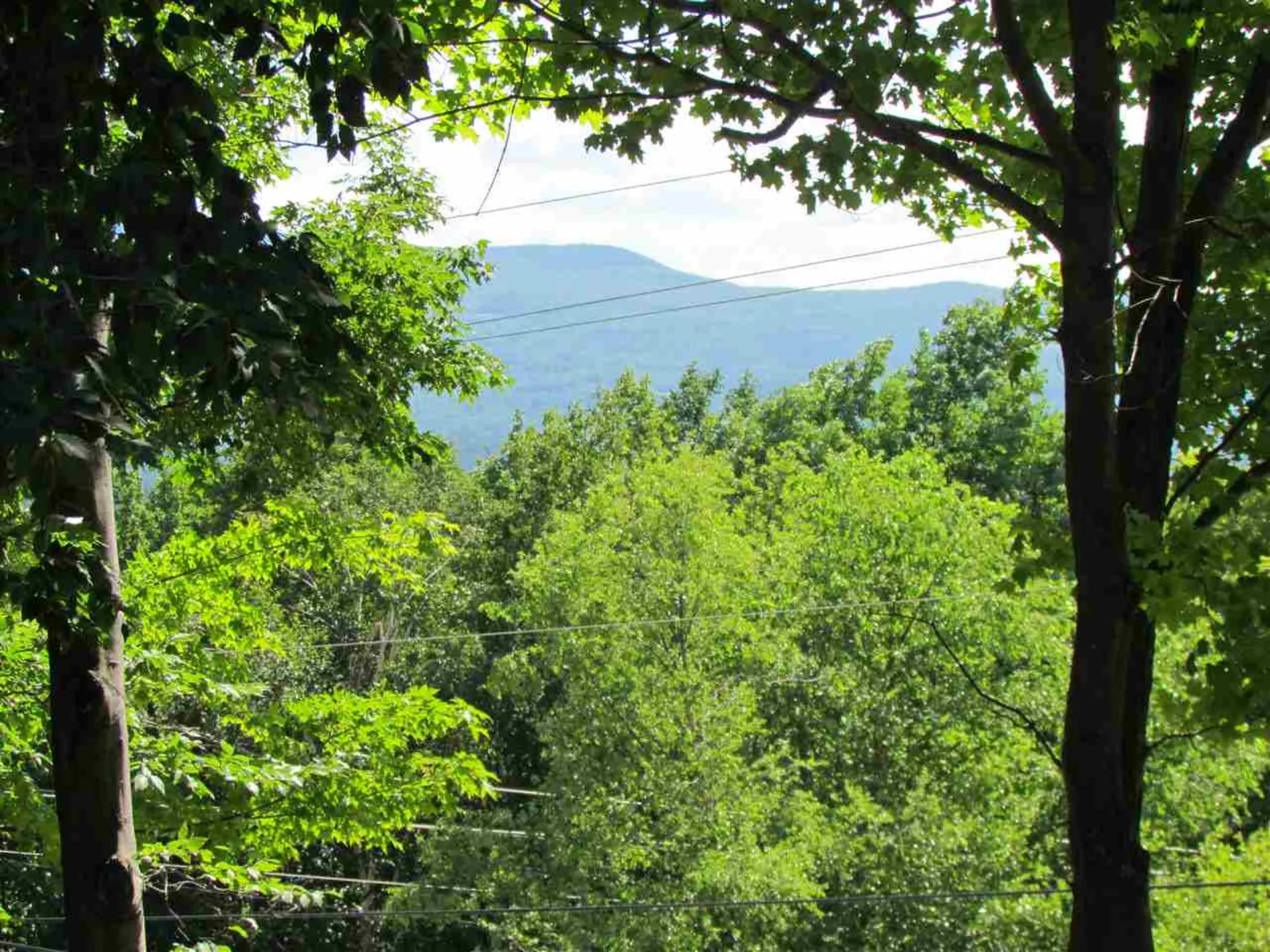 Lower Summit Road Warren VT 05674
