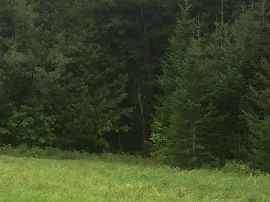 00 Pasture View Road Stewartstown NH 03576