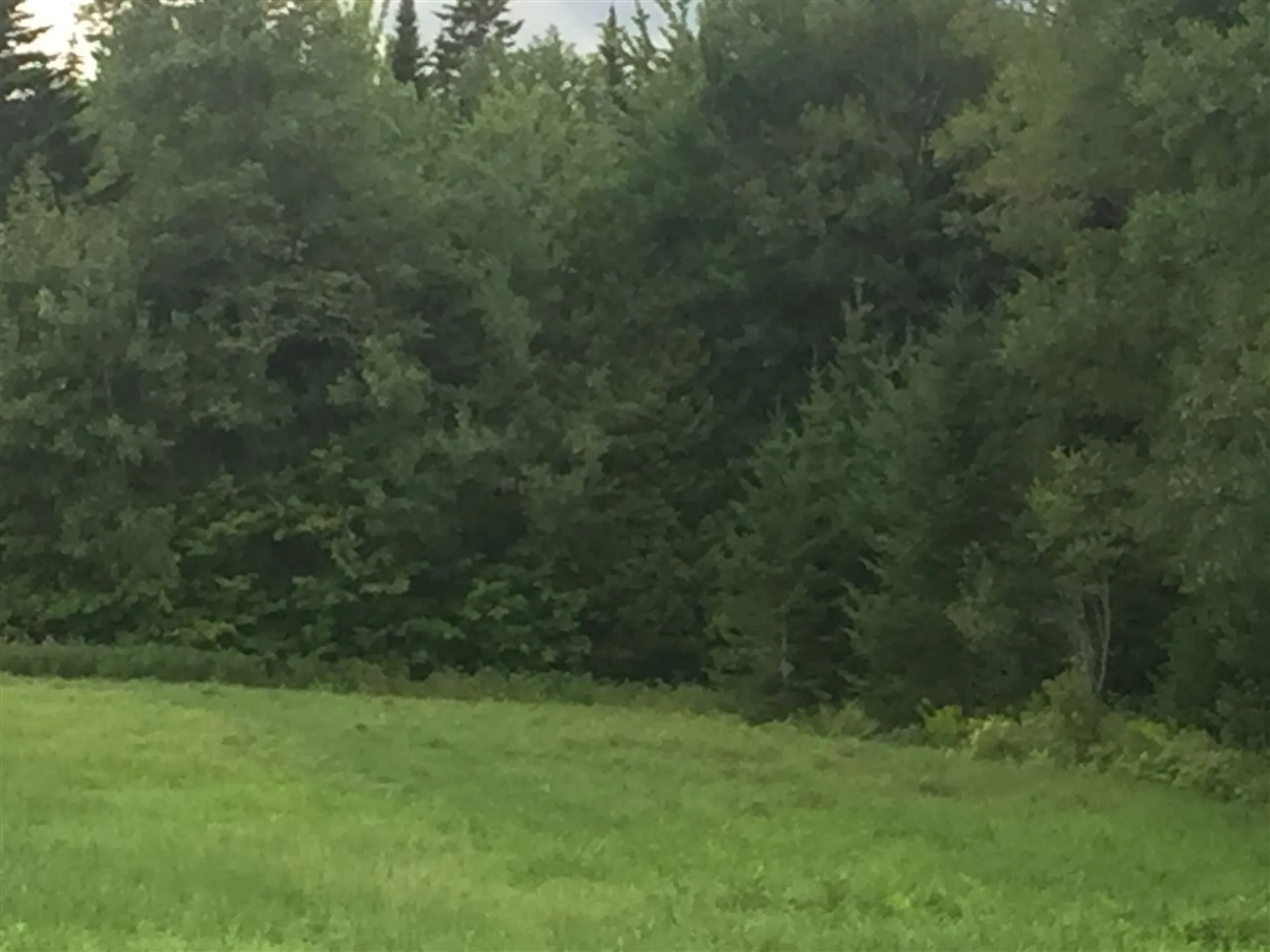 00 Pasture View Road Stewartstown NH 03576