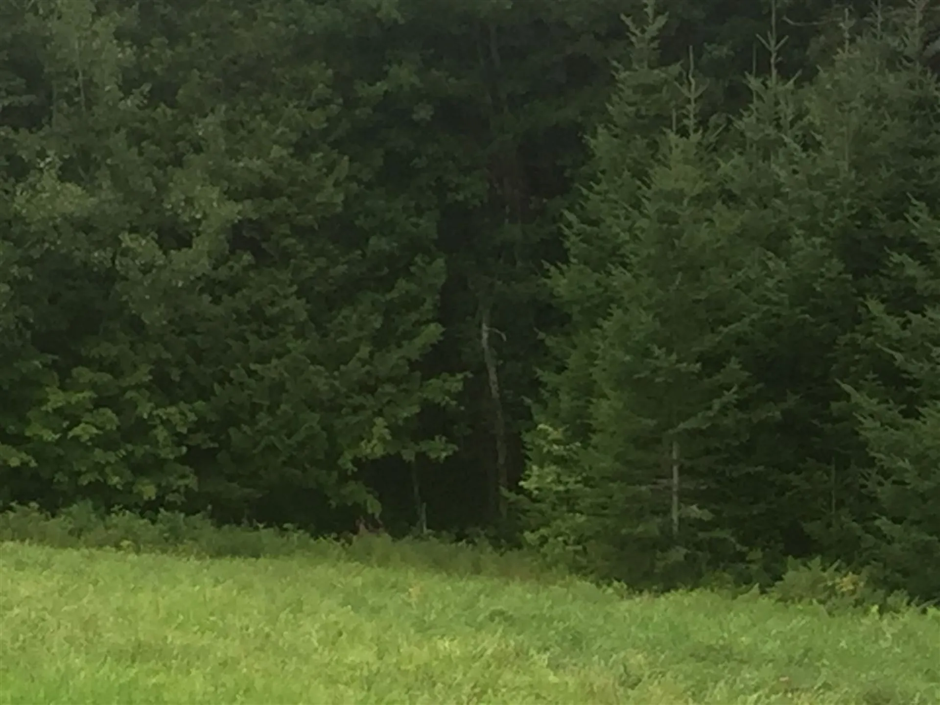 00 Pasture View Road Stewartstown NH 03576