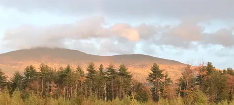 60 Hall Farm Road New London NH 03257