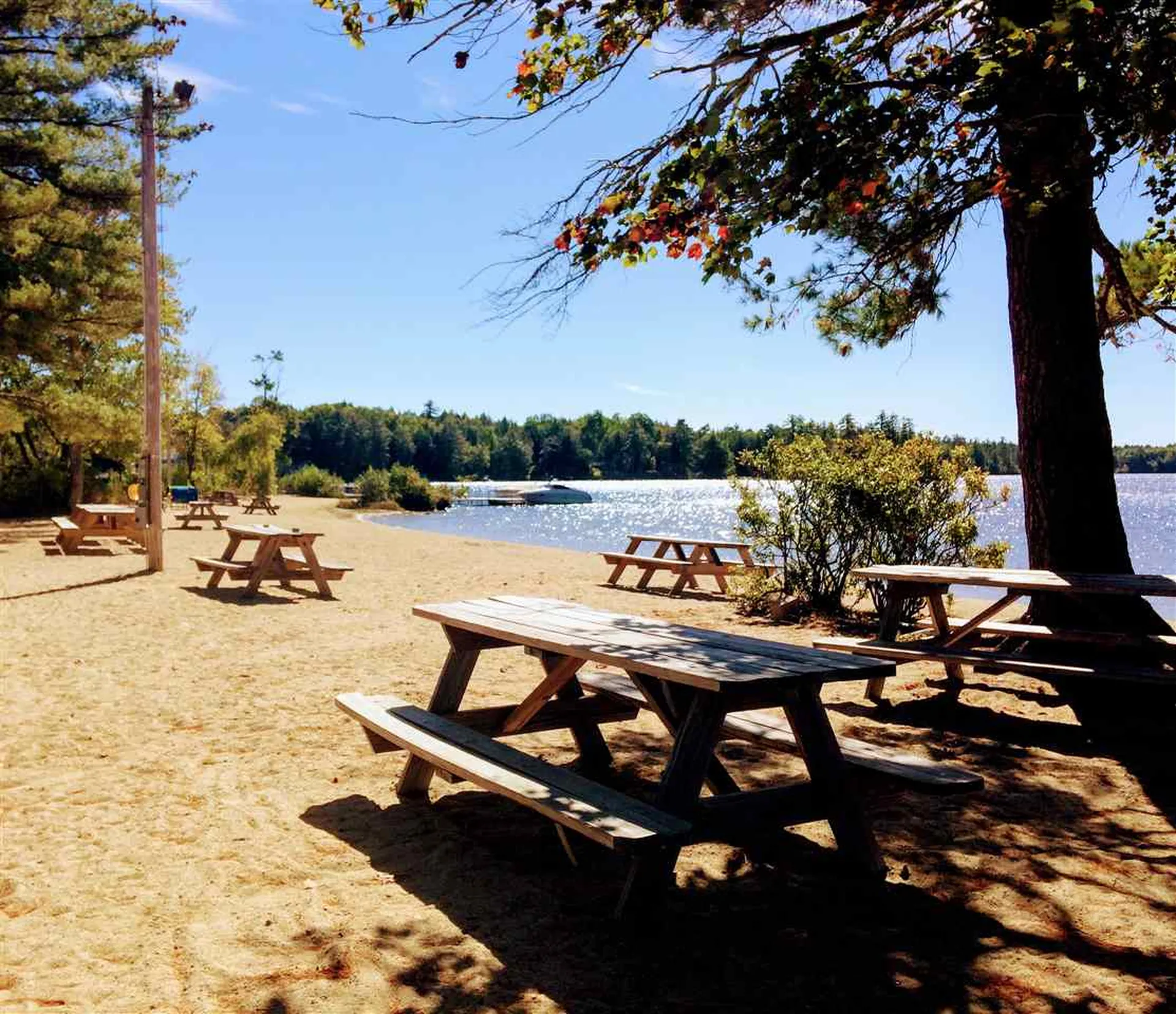 299 Paradise Drive Moultonborough NH 03254