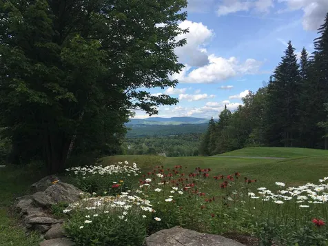 88 Howes Loop Wilmington VT 05363