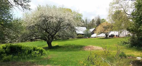 501 Kibbee Road Brookfield VT 05036
