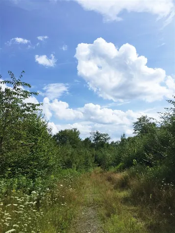 0 Marsh Road Wolcott VT 05680