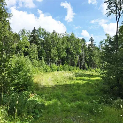 0 Marsh Road Wolcott VT 05680