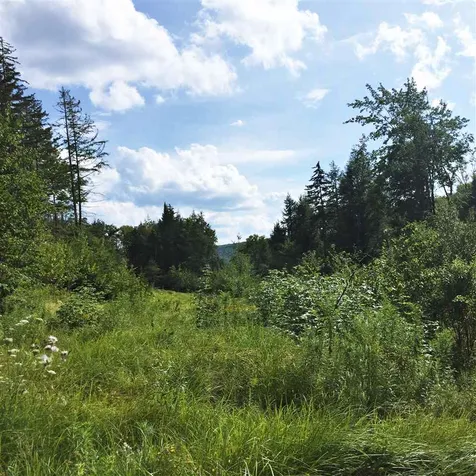 0 Marsh Road Wolcott VT 05680