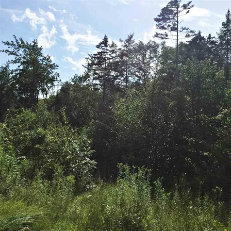 0 Marsh Road Wolcott VT 05680