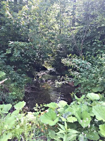 0 Marsh Road Wolcott VT 05680