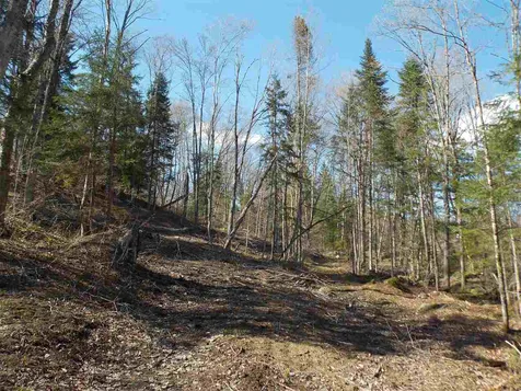 0 Marsh Road Wolcott VT 05680