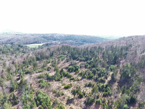 0 Marsh Road Wolcott VT 05680