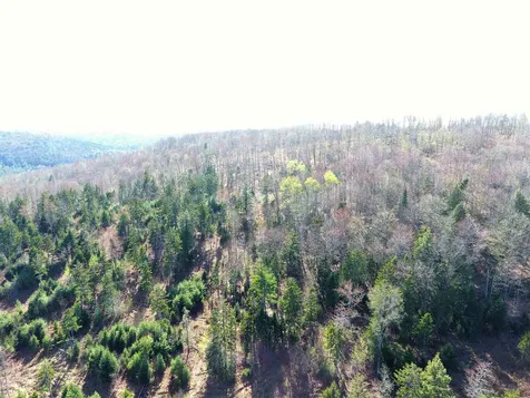 0 Marsh Road Wolcott VT 05680