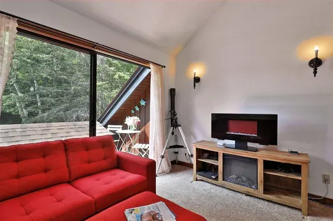 217 Falcon Loop West Rochester VT 05767