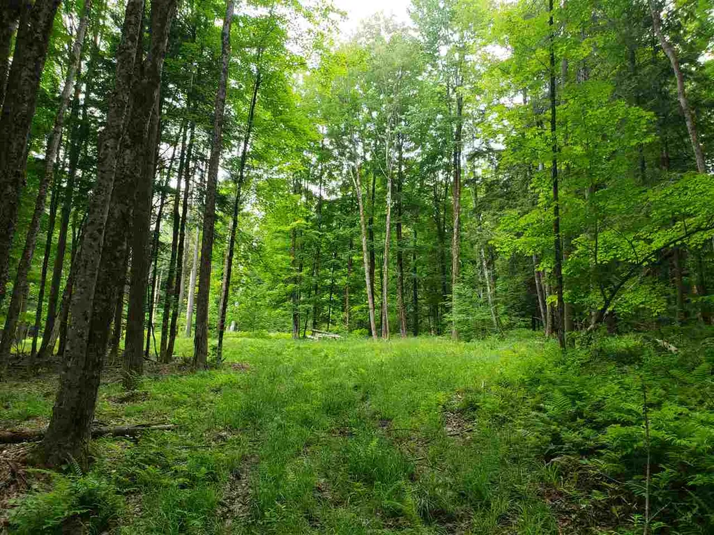 85 Snapper Lane Thetford VT 05075