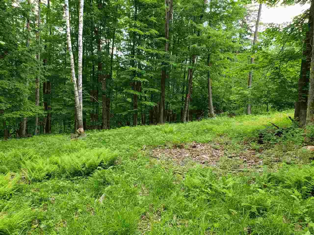 85 Snapper Lane Thetford VT 05075
