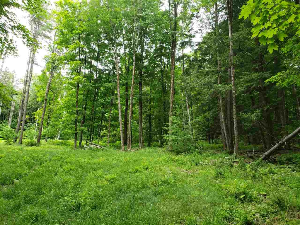 85 Snapper Lane Thetford VT 05075