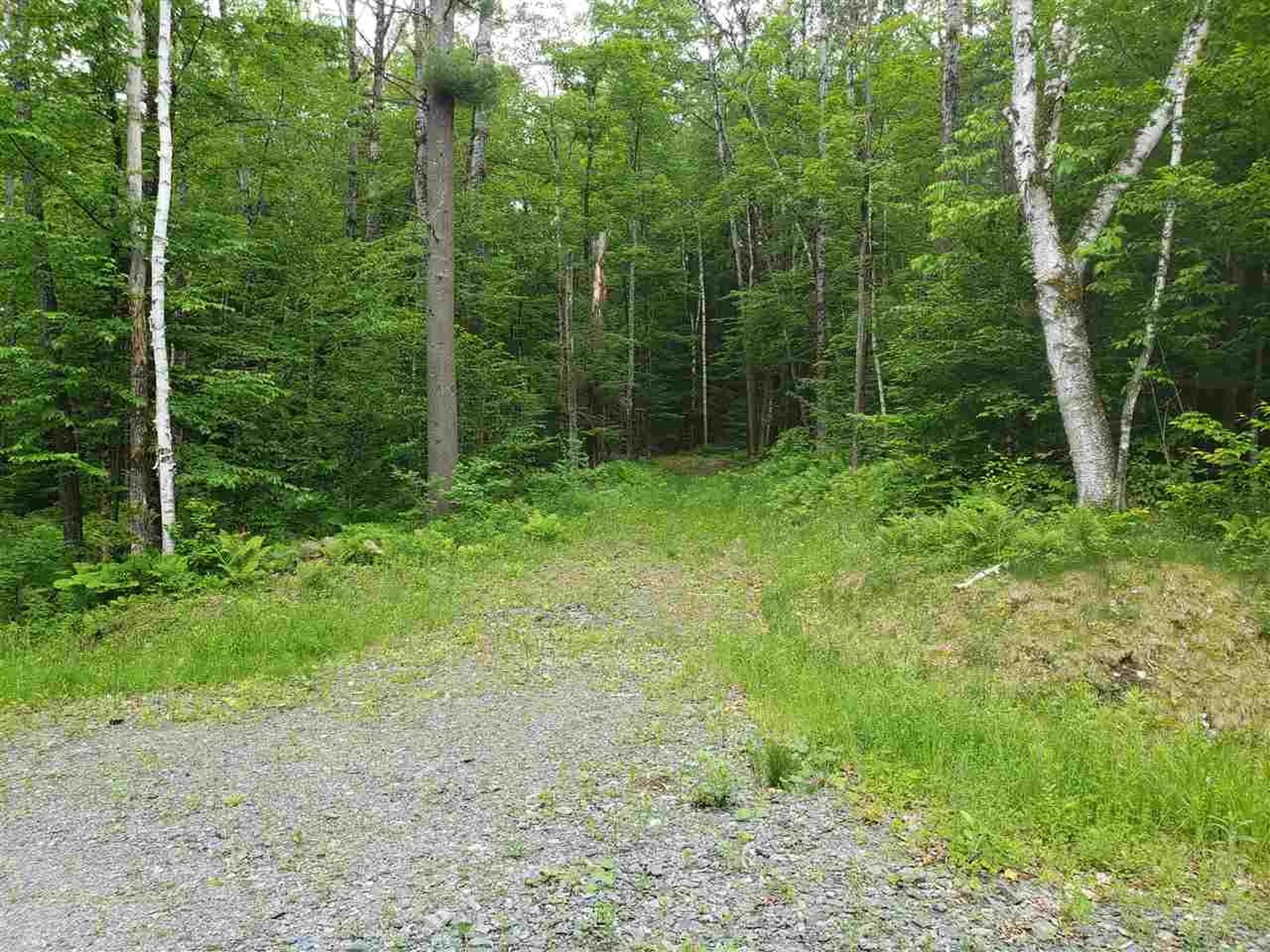 85 Snapper Lane Thetford VT 05075