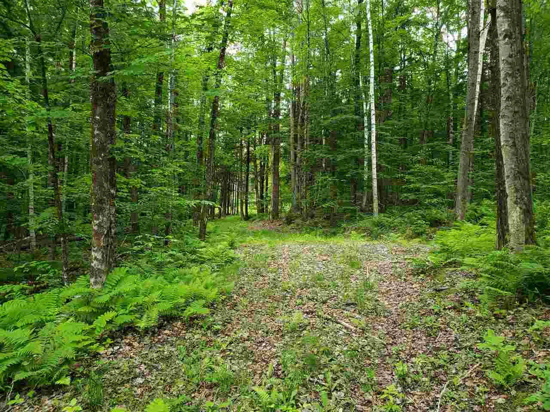 85 Snapper Lane Thetford VT 05075