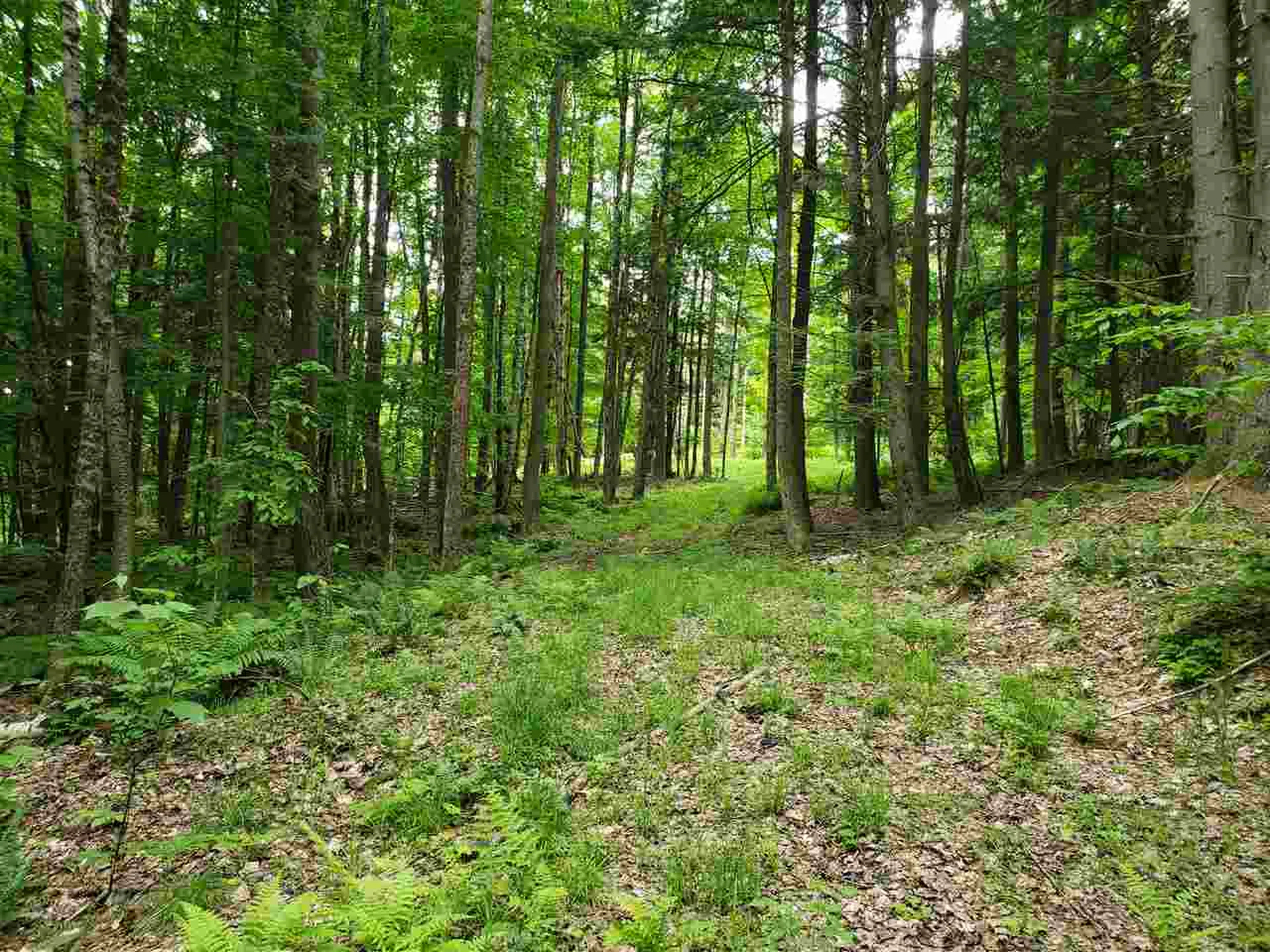 85 Snapper Lane Thetford VT 05075