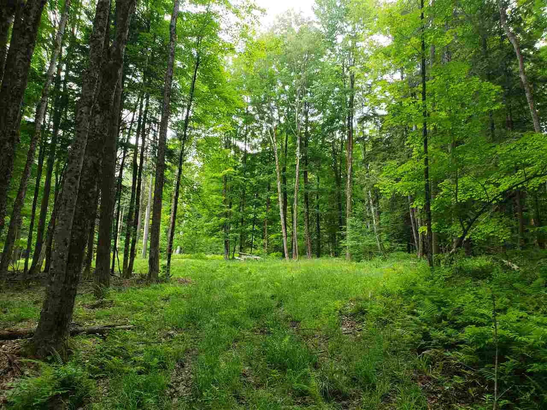 85 Snapper Lane Thetford VT 05075