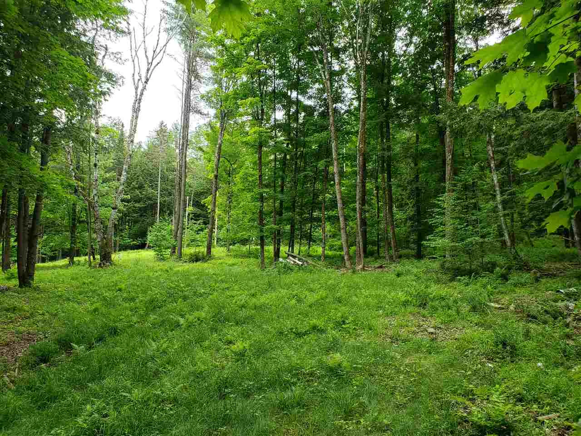 85 Snapper Lane Thetford VT 05075
