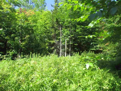 9 Holland Road Dover VT 05341