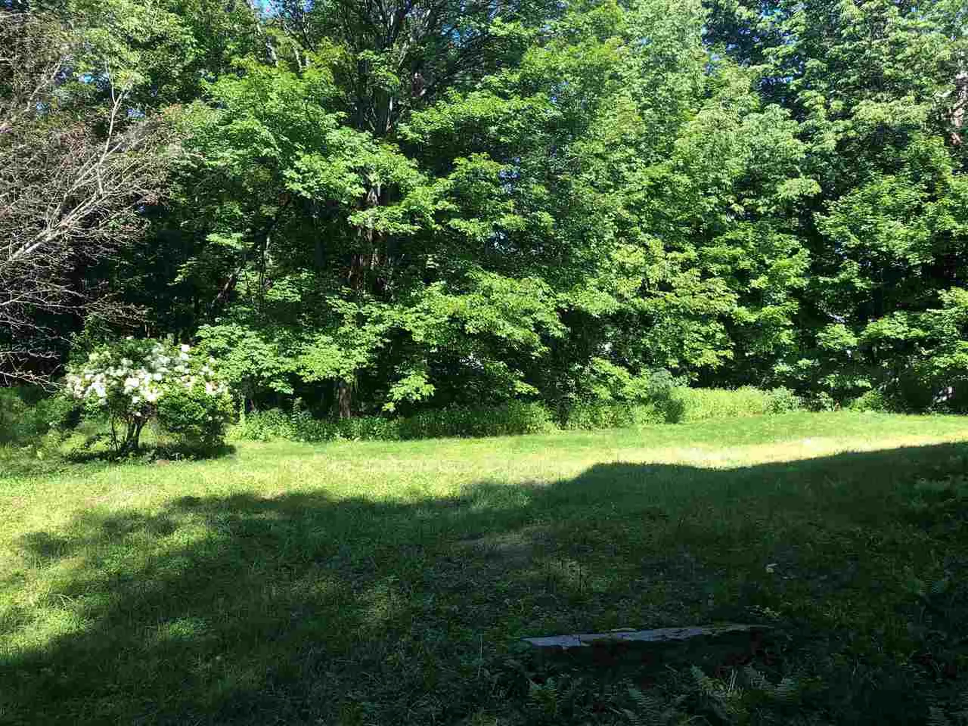 50 Pleasant Street Plymouth NH 03264