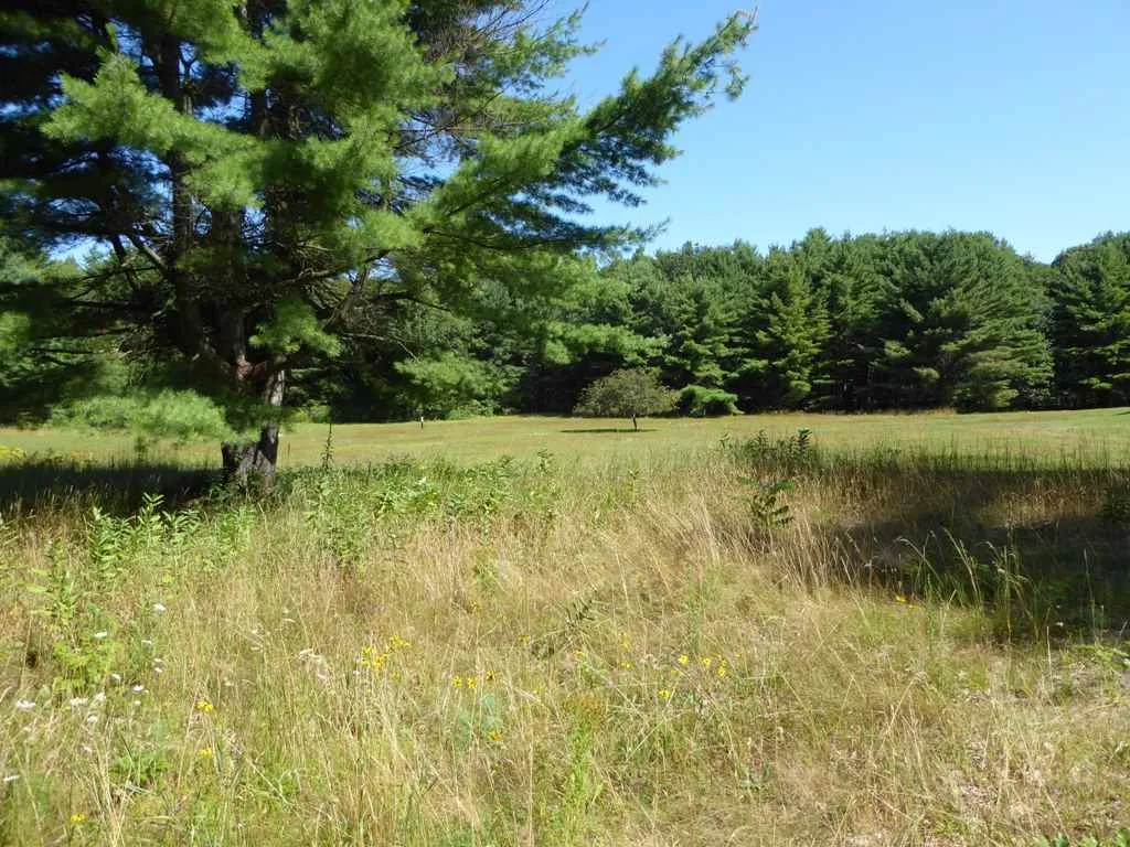 222 Red Rock Road Colchester VT 05446