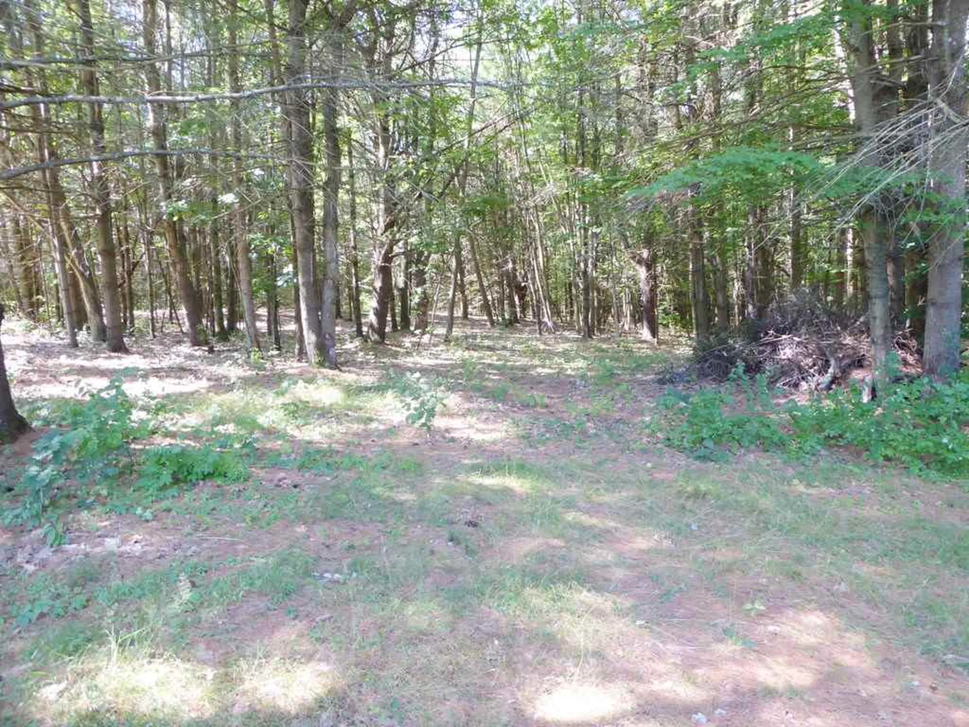 222 Red Rock Road Colchester VT 05446