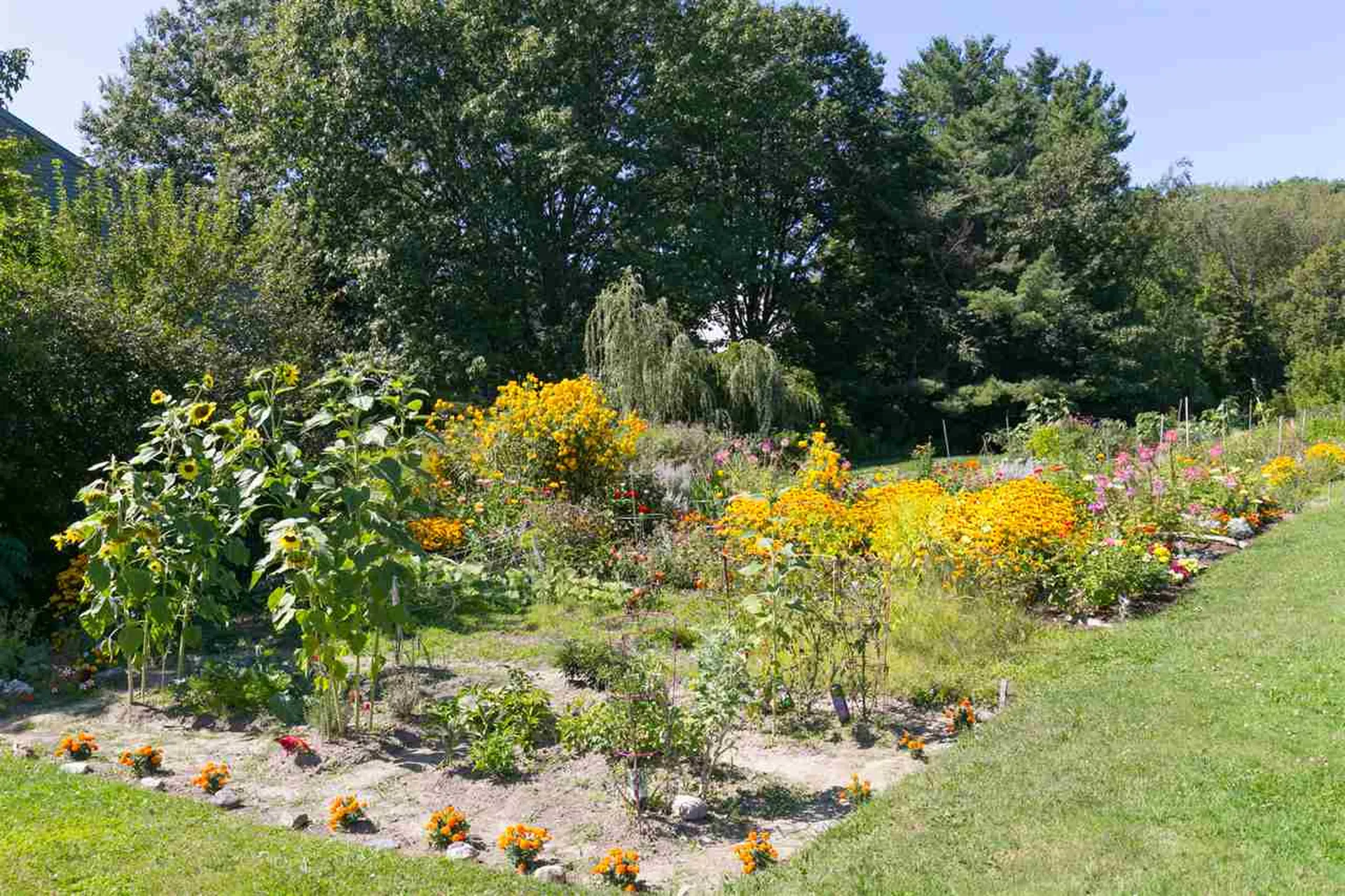 37 Twin Oaks Terrace South Burlington VT 05403