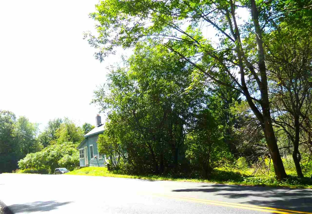 677 Mcconnell Road Brandon VT 05733-1193